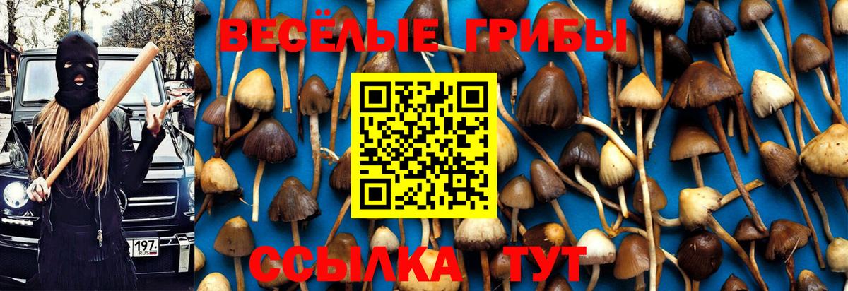 Псилоцибиновые грибы MAGIC MUSHROOMS Ангарск